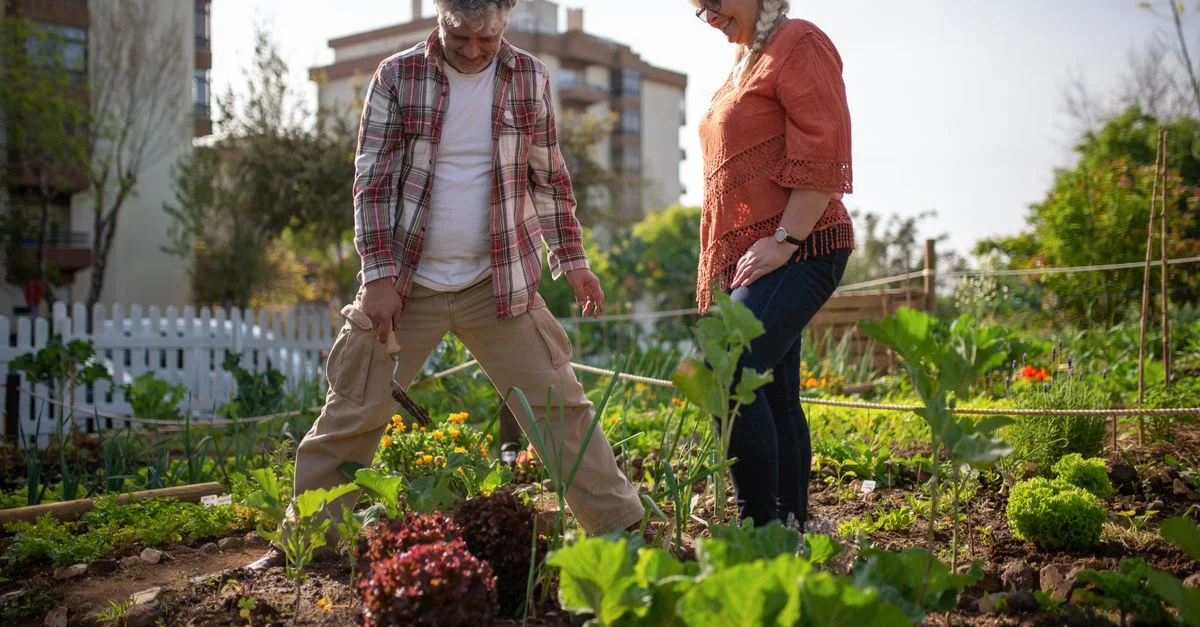 Couple âgé jardinant ensemble dans un jardin potager en plein air au Portugal.